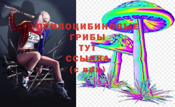 MDMA Premium VHQ Приозерск