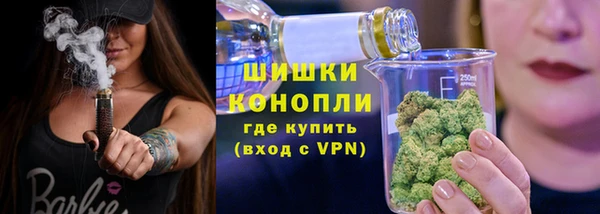 хмурый Каменногорск