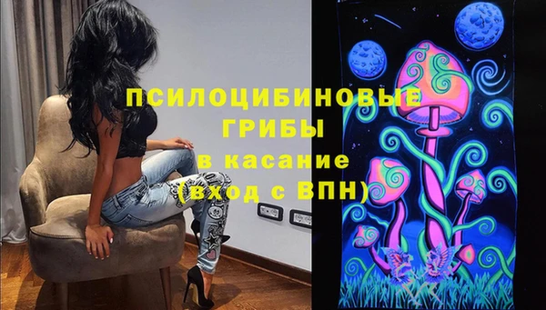 МДПВ Протвино