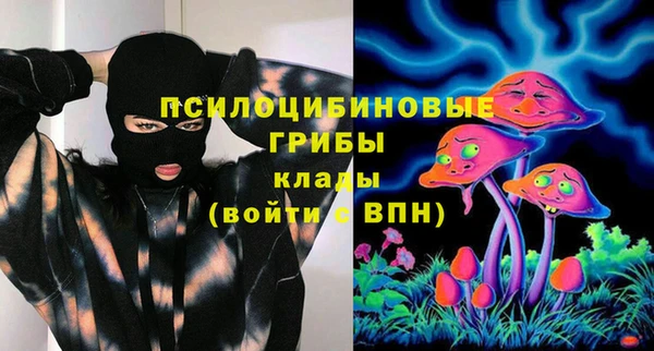соль ск Пролетарск