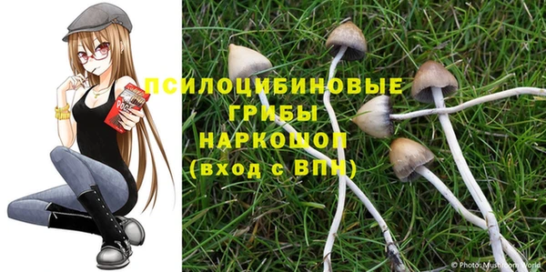 MDMA Premium VHQ Приозерск