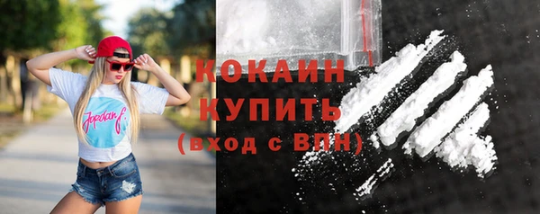 МДПВ Протвино