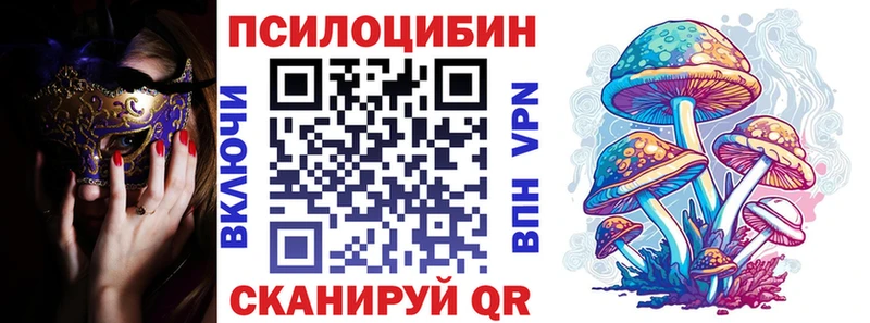 Галлюциногенные грибы Psilocybine cubensis  что такое   Лакинск 